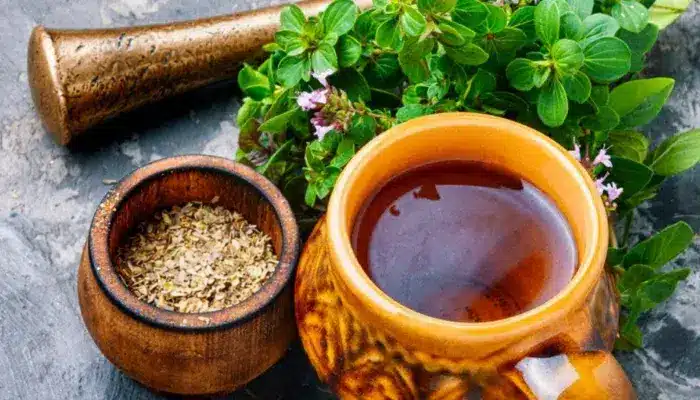 Chá de Orégano é Saudável e Tudo de Bom Vem Ver - Receitas e Cozinha