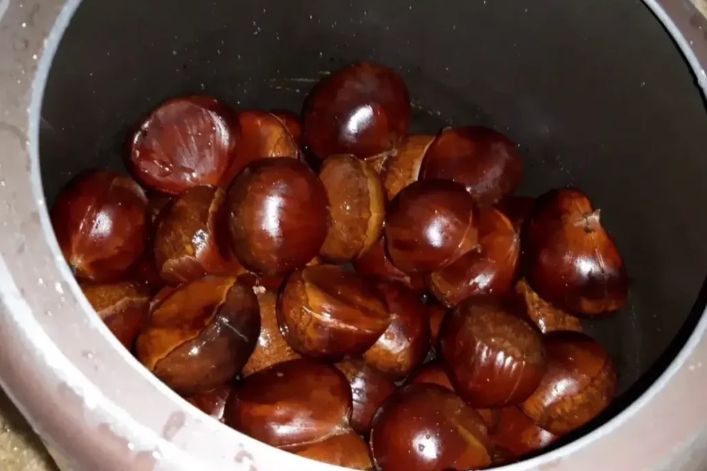 Castanha Portuguesa na Panela Versátil e Fácil - Receitas e Cozinha